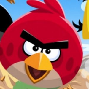 Meet your Posher, Hattie